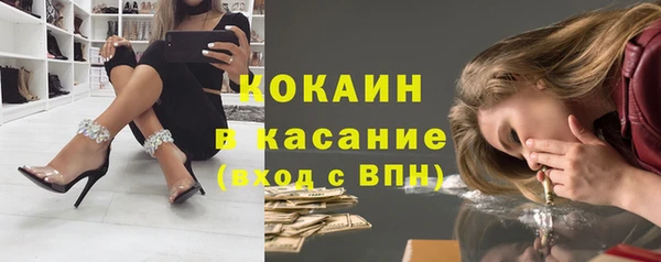 крисы Абаза