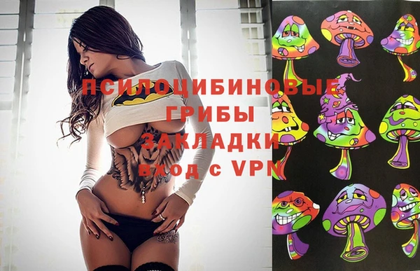 ECSTASY Алексеевка