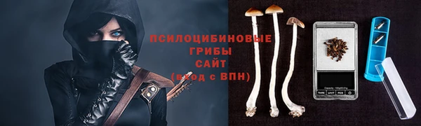 спиды Алексин