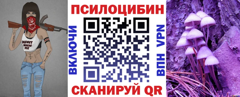 Псилоцибиновые грибы Cubensis  Качканар 